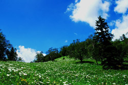 白山网站建设