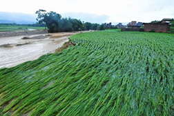 苍梧网站建设