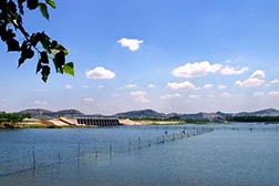 东平网站建设