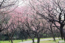 东乡网站建设