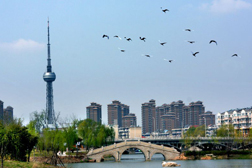 海陵网站建设