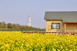 兰陵网站建设