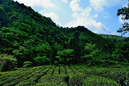 文县网站建设