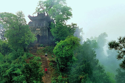 西乡网站建设