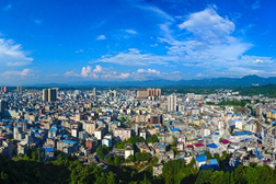 龙山网站建设