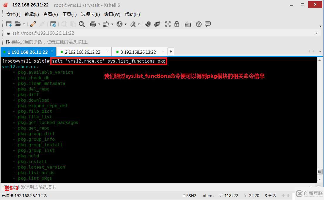 Linux中什么是自动化以及运维利器SaltStack的安装使用