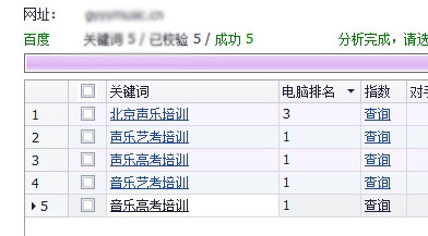 网站优化成功