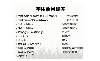 seo标签优化