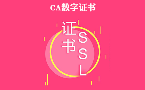 数字证书