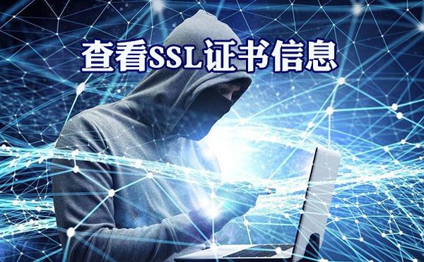 查看ssl证书