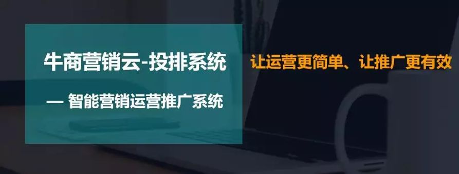 为什么网站排名一直做不上去