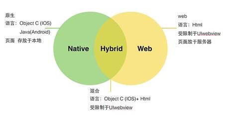 手机网站开发软件