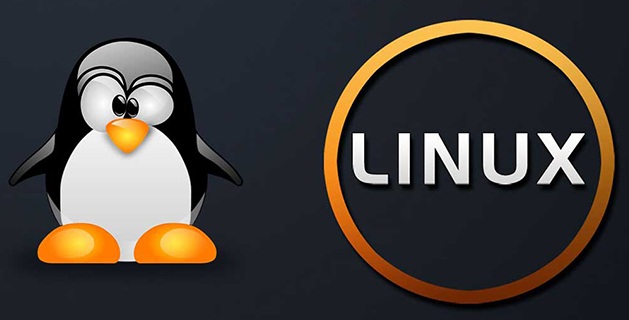 linux怎么ping，LinuxPing的步骤讲解