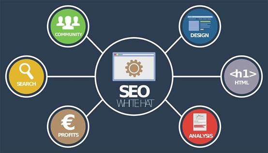 SEO优化可以分为哪几种类型