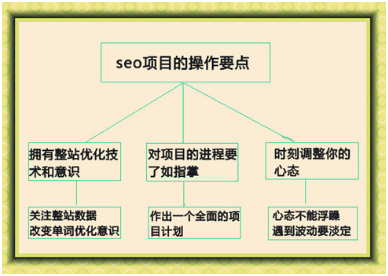 SEO优化核心策略在于产生更多内容