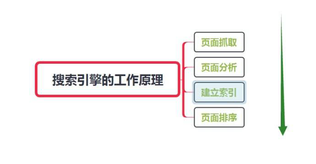 网站怎么让蜘蛛快速抓取？