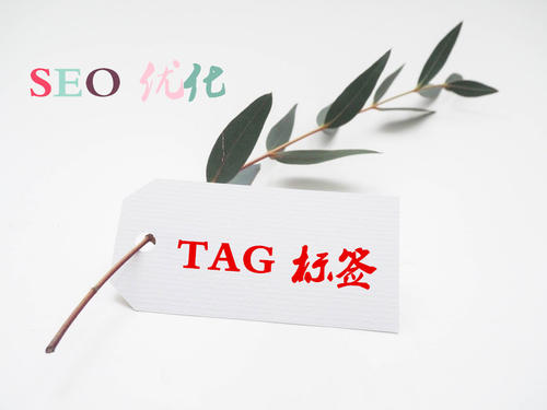 TAG标签的使用对于SEO优化的重要性是什么？